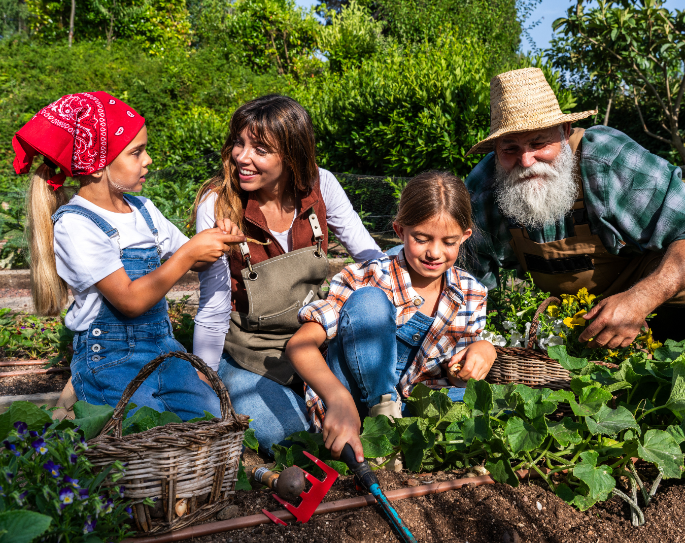 Visuel Production alimentaire